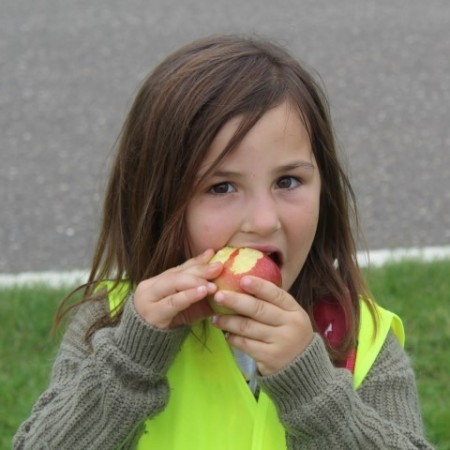 IMG 1462 - Scouts en Gidsen Zaventem 
